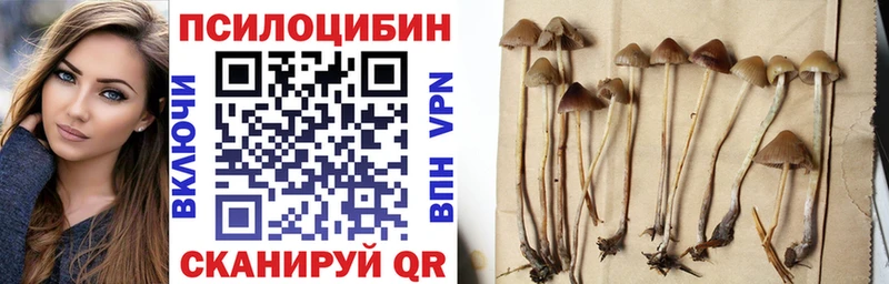 blacksprut сайт  Радужный  Галлюциногенные грибы Magic Shrooms 
